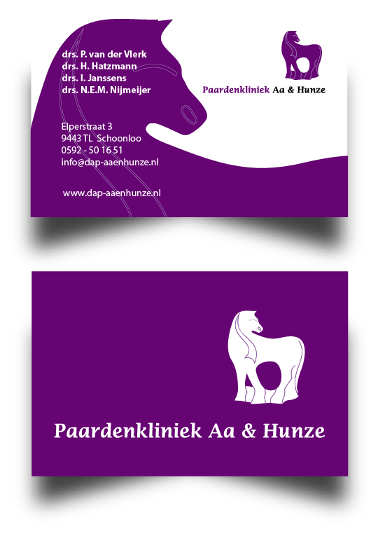 paardenkliniekaaenhunze